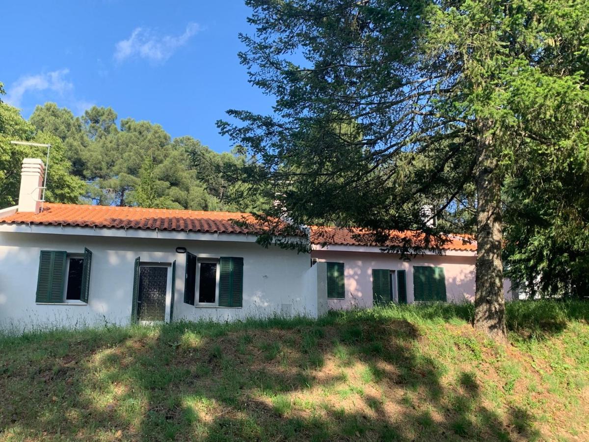 Bel Douro Villa Torre De Moncorvo Exterior foto